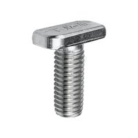 Śruba teowa M10 25mm (K-19-25)